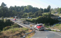 Waikato Run 252 Small Waikato Run 252 Small